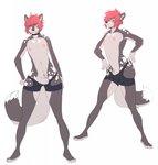 animal_genitalia anthro balls clothing collar fur genitals hair male markings nipples red_hair sheath solo spots spotted_body spotted_fur spotted_nose underwear wasabitea silus_(sacil) canid canine canis domestic_dog husky mammal nordic_sled_dog spitz spotted_husky hi_res