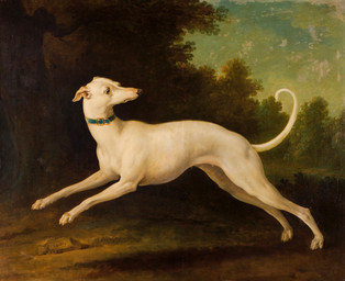 1748 ambiguous_feral ambiguous_gender buckle buckled_collar claws collar detailed_background digitigrade feral finger_claws floppy_ears folded_ears forest forest_background jumping looking_back nature nature_background outside paws plant quadruped solo tail toe_claws tree white_body jean-baptiste_oudry public_domain canid canine canis domestic_dog greyhound hunting_dog mammal sighthound 18th_century absurd_res ancient_art hi_res oil_painting_(artwork) painting_(artwork) traditional_media_(artwork) traditional_painting_(artwork)