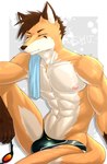 abs anthro athletic athletic_male bulge clothing eyes_closed eyewear goggles male nipples sitting solo speedo swimming_goggles swimwear towel towel_on_shoulder kemo_shu canid canine fox mammal absurd_res hi_res