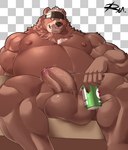 accessory anthro balls belly beverage_can biceps big_balls big_penis blush brown_body brown_fur erection fur genitals grin headband male musclegut muscular nipples nude pecs penis sitting smile solo vein veiny_penis reclamon lifewonders live_a_hero goro_(live_a_hero) bear mammal hi_res