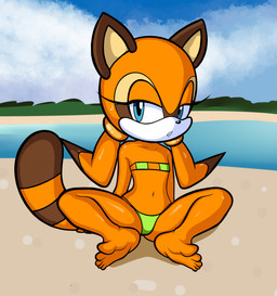 adolescent anthro beach bedroom_eyes bikini bodily_fluids clothing feet female flat_chested looking_aside narrowed_eyes navel outside pose seductive sitting skimpy_bikini solo sweat sweatdrop swimwear tail thick_thighs two-piece_swimsuit wide_hips young young_anthro young_female significantother sega sonic_the_hedgehog_(series) marine_the_raccoon mammal procyonid raccoon 2025 absurd_res hi_res pinup