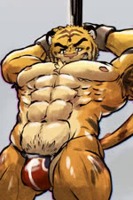 abs anthro clothing dancing grin hip_sway jockstrap male muscular muscular_anthro muscular_male nipples pecs pole pole_dancing smile solo stripper stripper_pole underwear beribeardraw build_tiger felid mammal pantherine tiger 2:3 2d_animation animated frame_by_frame no_sound short_playtime webm