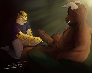 anthro balls big_penis bodily_fluids bulge cum duo ejaculation genital_fluids genitals humanoid_genitalia humanoid_penis male male/male musclegut muscular penis bovid bovine cattle cheetah felid feline mammal absurd_res hi_res