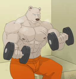 abs anthro biceps bodily_fluids bottomwear brown_nose chest_scar claws clothed clothing exercise fur male muscular muscular_anthro muscular_male navel nipples orange_clothing pants pecs prison_uniform scar simple_background sitting solo sweat sweatdrop topless tufted_fur weightlifting workout jabuhusky beastars riz_(beastars) bear brown_bear mammal ursine absurd_res hi_res