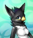 anthro bald beak blue_eyes breasts feathers featureless_breasts female looking_at_viewer neck_tuft non-mammal_breasts solo tuft yellow_beak atokota azukipuddles azuki_(azukipuddles) avian bird corvid holarctic_magpie magpie_(corvid) oscine passerine yellow-billed_magpie 2018