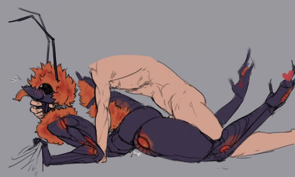 antennae_(anatomy) anthro anthro_penetrated arthropod_abdomen black_body black_eyes blush blush_lines claws compound_eyes duo exoskeleton female female_anthro from_behind_position fur_collar grabbing_from_behind grabbing_sheets grey_background hair heart_eyes heart_symbol human_on_anthro human_penetrating human_penetrating_anthro interspecies lying male male/female male_human mandibles on_front penetration red_hair sex simple_background thick_thighs toe_claws sun_bug velvet_ant_(sun_bug) arthropod human hymenopteran insect mammal velvet_ant wasp flat_colors sketch