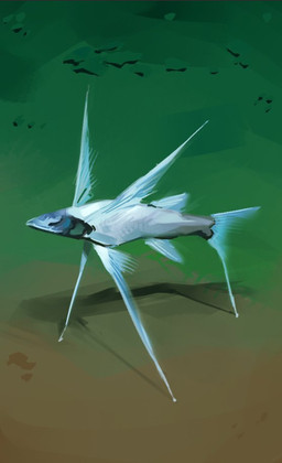 ambiguous_gender feral fin pelvic_fins sea seabed side_view silver_body solo tail tail_fin three-quarter_view water rekkadraws aquatic fish tripod_fish 2026 digital_media_(artwork) digital_painting_(artwork) english_description full-length_portrait painting_(artwork) portrait