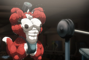 abs anthro armpit_hair barazoku barbell biceps big_bulge big_muscles big_nipples bodily_fluids body_hair bulge clenched_teeth clothing dumbbell excessive_sweat exercise fur gym huge_muscles inside male muscular muscular_anthro muscular_male navel nipples obliques pecs quads solo standing sweat teeth thick_thighs thong triceps tuft underwear vein weight_bench weightlifting weights wet wet_body wet_clothing wet_fur wet_thong wet_underwear workout xxsparcoxx tani_(tanilys) canid canine fox mammal 2022 signature