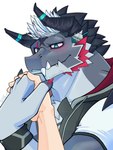 anthro blue_eyes blush duo grey_body hair hand_holding horn male smile stubble tusks white_hair aoi_tachi0 lifewonders live_a_hero mythology giansar dragon human mammal mythological_creature mythological_scalie scalie 3:4 hi_res