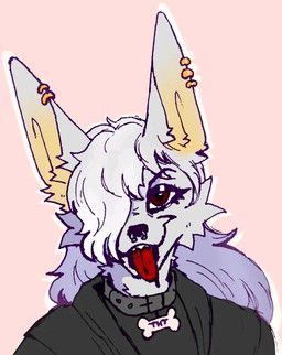anthro big_hair clothed clothed_female clothing collar ear_piercing eyeliner female fur hair hair_over_eye happy looking_at_viewer makeup piercing solo tongue tongue_out white_body white_fur jabacoyote tht_(tht) canid canine canis jackal mammal