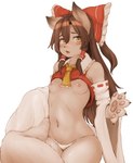 alternate_species anthro breasts brown_hair clothed clothing female female_anthro fluffy fluffy_tail furrification hair implied_transformation kemono looking_at_viewer nipples partially_clothed simple_background small_breasts solo tail underwear white_background yellow_eyes hawthorn touhou reimu_hakurei canid canine mammal hi_res portrait three-quarter_portrait