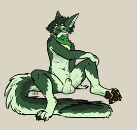 4_toes animal_genitalia anthro balls feet fur genitals green_body green_fur green_wolf long_tail male paws penis penis_tip solo tail toes longtailshorttemper zachary_(longtailshorttemper) canid canine canis mammal wolf hi_res