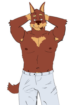 anthro armpit_hair athletic athletic_anthro athletic_male body_hair bottomwear brown_body brown_fur bulge clothed clothing detailed_bulge fur genital_outline hands_behind_head looking_at_viewer male male_anthro pants penis_outline pubes simple_background smile solo standing tail tan_body tan_fur teeth tongue tongue_out topless topless_anthro topless_male white_background devaney bluey_(series) rusty's_dad_(bluey) australian_kelpie canid canine canis domestic_dog herding_dog mammal pastoral_dog sheepdog 2025 hi_res