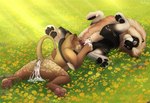 4_toes after_sex animal_genitalia anus ball_lick balls bodily_fluids cum cum_in_ass cum_in_vagina cum_inside cum_on_penis duo erection feet feline_genitalia female feral feral_on_feral flower fur genital_fluids genitals grass grass_field hair hindpaw leaking leaking_anus leaking_pussy licking male male/female oral outside pawpads paws penile penis plant sex smile spread_legs spreading tail toes tongue tongue_out whiskers white_body heymayaart ujasiri_(ajabu) felid feline lion mammal pantherine digital_drawing_(artwork) digital_media_(artwork) hi_res