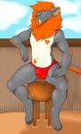 anthro beach bulge clothing male mane seaside solo tattoo thong underwear dingots felid lion mammal pantherine 2018 absurd_res hi_res signature smaller_version_at_source