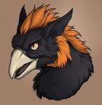 beak black_body black_eyes black_feathers brown_background brown_sclera feathers feral hair male mohawk open_mouth orange_hair pupils simple_background slit_pupils solo tongue victoriadaedra mythology ezekiel_gryphon avian gryphon mythological_avian mythological_creature 2016 digital_media_(artwork) headshot_portrait hi_res portrait