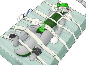 anthro bdsm belt_bondage blindfold bondage bound clothing erection fur genitals green_body green_fur grey_body grey_fur hair handwear machine male medical_restraints milking_machine mittens muzzle_(object) muzzled nude penile penis penis_milking restraints segufix sex_toy solo straps struggling submissive tail text timer vibrator vibrator_on_penis scottydoesstuff fauxil_fox_(character) canid canine fox mammal 2023 absurd_res digital_media_(artwork) hi_res