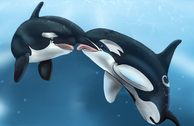 black_arms black_body black_fin blue_background bubble dorsal_fin duo female feral fin kissing male male/female purple_eyes simple_background tongue tongue_out underwater water maaliks-world aquatic cetacean dolphin mammal oceanic_dolphin orca toothed_whale 2025