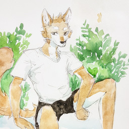 anthro black_bottomwear black_clothing black_shorts bottomwear clothed clothing fur head_tuft looking_aside male mouth_closed plant shirt shorts shrub simple_background sitting solo spread_legs spreading t-shirt tan_body tan_fur topwear tuft unsigned white_body white_clothing white_fur white_shirt white_t-shirt white_topwear akatan_art canid mammal 1:1 hi_res traditional_media_(artwork)