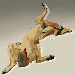 black_nose black_pawpads cheek_tuft erection facial_tuft fangs feral fur genitals grey_body grey_fur lying male neck_tuft on_back orange_body orange_fur pawpads penis red_penis simple_background solo tan_body tan_fur teeth tuft msdeadsoul canid canine mammal 1:1 2019 dated signature