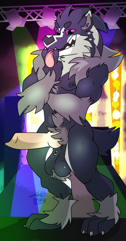 animal_genitalia animal_penis anthro ball_tuft balls biped black_body black_fur blue_eyes canine_genitalia canine_penis claws concert erection fur genitals hair knot lights looking_at_viewer male muscular muscular_anthro muscular_male nipple_piercing nipples nude open_mouth penis piercing saggy_balls smile solo stage standing teeth tongue tongue_out tuft white_body white_fur sylvanedadeer nintendo pokemon generation_8_pokemon mammal mustelid obstagoon pokemon_(species) 2019 absurd_res digital_media_(artwork) hi_res
