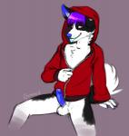 anthro blue_penis clothing erection foreskin genitals hair hoodie humanoid_genitalia humanoid_penis male penis pink_eyes purple_hair retracted_foreskin simple_background solo topwear vein canned_(artist) border_collie canid canine canis collie domestic_dog herding_dog mammal pastoral_dog sheepdog