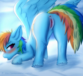anus bedroom_eyes bent_over big_tail blue_body blue_fur blush bodily_fluids butt cloud cutie_mark eyelashes female feral fur genital_fluids genitals hair hooves looking_at_viewer looking_back mane mane_hair multicolored_hair multicolored_tail narrowed_eyes outside pink_eyes presenting presenting_anus presenting_hindquarters presenting_vulva rainbow_hair raised_tail rear_view saliva seductive sky skyscape solo tail tongue vaginal_fluids vulva wings stellaamoris friendship_is_magic hasbro my_little_pony mythology rainbow_dash_(mlp) equid equine horse mammal mythological_creature mythological_equine pegasus pony hi_res