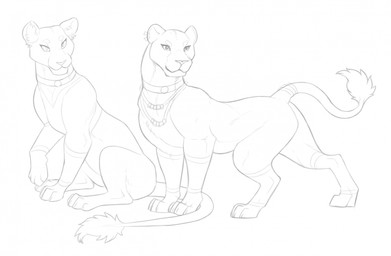 bracelet choker digitigrade duo ear_piercing female female_feral feral jewelry necklace piercing quadruped simple_background sitting tail tail_tuft tuft white_background digitoxici felid lion mammal pantherine 2026 digital_media_(artwork) hi_res line_art monochrome