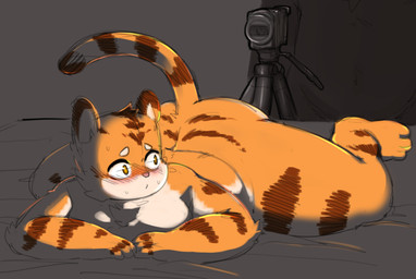 anthro blush bodily_fluids camera exhibitionism looking_back lying male on_front overweight overweight_anthro overweight_male solo spread_legs spreading sweat thick_thighs pururing felid mammal pantherine tiger absurd_res hi_res