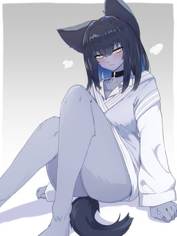 anthro black_hair blush bodily_fluids bottomless bottomless_female clothed clothing collar female hair hair_intakes kemono looking_at_viewer sitting solo sweat tail yonaga sani_yang's_laboratory namo_(sani_yang's_laboratory) canid canine canis domestic_cat domestic_dog felid feline felis hybrid mammal 2026 3:4 hi_res