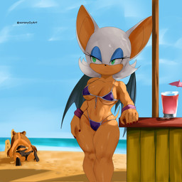 anthro beach beach_bar beverage big_breasts bikini blue_eyeshadow breasts clothing collarbone duo eyelashes eyeshadow female front-tie_bikini green_eyes hand_on_hip makeup membrane_(anatomy) membranous_wings outside purple_bikini purple_clothing purple_swimwear smile swimwear tan_body two-piece_swimsuit wide_hips wings soranygyart sega sonic_boom sonic_the_hedgehog_(series) rouge_the_bat sticks_the_jungle_badger badger bat mammal mustelid musteline 1:1 2026 hi_res