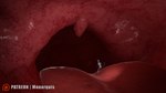 anthro in_mouth inside_mouth internal male micro nude_male solo throat tongue unseen_pred uvula vore monarquis romy_(monarquis) domestic_cat felid feline felis mammal 3d_(artwork) digital_media_(artwork) hi_res widescreen