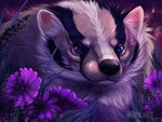 detailed_background detailed_fur feral flower fluffy fur grass looking_at_viewer male night outside plant sky solo star starry_sky melodyofforest badger mammal mustelid musteline detailed hi_res