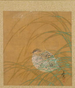 ambiguous_feral ambiguous_gender beak biped bipedal_feral feathered_wings feathers feet feral grass leaf plant side_view simple_background solo tail tail_feathers talons text toes wings shibata_zeshin public_domain avian bird galliform phasianid quail 1847 19th_century absurd_res ancient_art hi_res japanese_text painting_(artwork) traditional_media_(artwork) traditional_painting_(artwork) translation_request