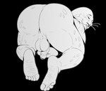 anthro anus balls belly big_belly big_butt butt feet foot_focus foreskin genitals humanoid_feet male overweight penis plantigrade smile soles solo thick_thighs whiskers wrinkled_feet wrinkles ryanmakana beastars sagwuan_(beastars) mammal marine pinniped seal spotted_seal monochrome