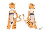 anthro clothing male one-piece_swimsuit solo swimwear translucent translucent_clothing translucent_swimwear panzery25 gris_swimsuit meme_clothing aiden_(panzery25) felid mammal pantherine tiger absurd_res hi_res meme