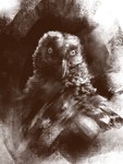 anthro beak feathers looking_at_viewer male open_mouth simple_background solo kotia accipitrid accipitriform avian bearded_vulture bird old_world_vulture vulture 3:4 absurd_res black_and_white digital_media_(artwork) hi_res monochrome portrait