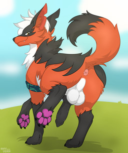 animal_genitalia animal_penis anus balls black_body black_fur butt canine_genitalia canine_penis feral fur genitals looking_at_viewer male penis raised_tail simple_background smug solo tail white_body white_fur whyvern nintendo pokemon canid canine canis generation_8_pokemon mammal pokemon_(species) thievul 5:6 absurd_res digital_media_(artwork) hi_res