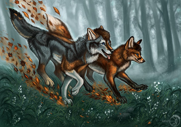 4_fingers ambiguous_gender black_body black_claws black_fur black_lips black_nose black_pawpads blue_eyes brown_body brown_fur brown_hair butt claws day detailed_background detailed_fur digitigrade dipstick_tail duo feet feral fingers flower fog forest fur grass grey_body grey_fur hair hindpaw inner_ear_fluff leaf leg_markings lips long_mouth looking_forward magic magic_user markings multicolored_tail no_sclera open_mouth orange_body orange_fur outside pawpads paws pink_tongue plant running short_hair side_view smile snout socks_(marking) tail tail_markings tan_body tan_fur teeth tongue tongue_out tree tuft whiskers white_flower flashw tekfox canid canine canis fox mammal red_fox true_fox wolf 2017 character_request detailed digital_media_(artwork) hi_res