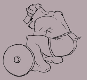 anthro barbell clothing crouching exercise hat headgear headwear male solo weightlifting workout workout_clothing beta_pup bear mammal digital_media_(artwork) drawpile_(artwork) sketch