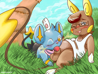alternate_species blush clothing electricity fellatio female grey_eyes male male/female mostly_nude oral palm_tree penile plant scarf scarf_only sex shirt tank_top topwear tree tufted_fur yellow_eyes screamoshaymin nintendo pokemon pokemon_mystery_dungeon spike_chunsoft blake_rothenberg alolan_form alolan_raichu generation_4_pokemon generation_7_pokemon pokemon_(species) regional_form_(pokemon) shinx hi_res