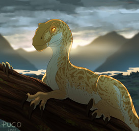 ambiguous_gender big_claws brown_claws claws feral glowing glowing_eyes looking_up lying markings on_front outside plant sky solo tan_body tree yellow_body yellow_eyes puco2000 dinosaur dromaeosaurid prehistoric_species reptile saurischian scalie theropod 2022 absurd_res colored digital_drawing_(artwork) digital_media_(artwork) hi_res shaded