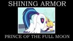 armor ass_up butt cutie_mark feral humor male solo text mlp-silver-quill friendship_is_magic hasbro my_little_pony shining_armor_(mlp) equid mammal 16:9 english_text hi_res widescreen