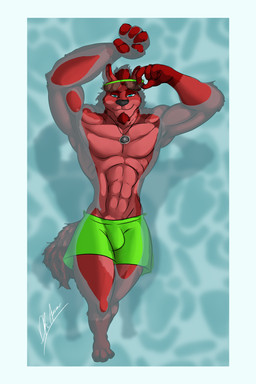 anthro border bottomwear bulge clothing dalkirmoonfre eyewear glasses male outside shorts solo sun swimming swimming_pool water waterscape white_border doctor_awesome canid canine canis mammal wolf digital_media_(artwork) hi_res