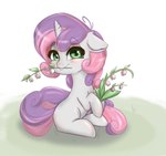 blush eyebrows eyelashes female feral flower green_eyes hair horn lily_of_the_valley mouth_hold plant purple_hair purple_tail raised_eyebrows sitting solo tail white_body young inky_mitts friendship_is_magic hasbro my_little_pony mythology sweetie_belle_(mlp) equid equine mammal mythological_creature mythological_equine unicorn hi_res