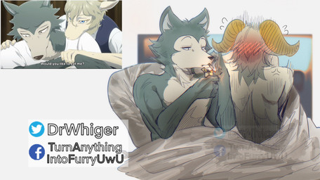 after_sex anthro anthro_on_anthro bed bedding blush cigarette countershading cross-popping_vein duo embarrassed furniture hair horn humor lighter lying male male/male nude on_back on_bed on_front pillow shaking smoking under_covers vein dr.whiger beastars legoshi_(beastars) pina_(beastars) bovid canid canine canis caprine dall_sheep mammal sheep wolf 2020 hi_res