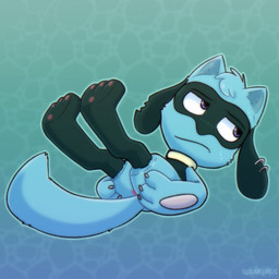 annoyed anthro anus blue_body blue_fur ear_piercing fur hair holding_butt legs_up male nude pawpads piercing presenting purple_eyes simple_background solo spreading tail solarlewds nintendo pokemon loui_(solarlewds) generation_4_pokemon pokemon_(species) riolu 1:1 digital_media_(artwork) hi_res