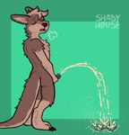 anthro blush bodily_fluids brown_body eyes_closed genital_fluids genitals green_background holding_own_penis holding_penis long_tail male male_peeing open_mouth peeing penis relieved sigh simple_background solo tail urine urine_pool urine_stream shadyhouse ruby_roo kangaroo macropod mammal marsupial hi_res