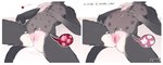 andromorph anthro before_and_after belly bodily_fluids cum cum_in_pussy cum_inside fur genital_fluids genitals grey_body grey_fur impregnation impregnation_kink intersex multi_nipple nipples ovum pink_pussy plump_labia pregnant pregnant_andromorph pregnant_anthro pregnant_intersex puffy_nipples pussy solo sperm_cell text vaginal vitiligo white_body white_fur conditional_dnp meowcephei domestic_cat felid feline felis lykoi mammal english_text hi_res
