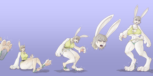 4_toes 5_toes anthro asymmetrical_transformation big_breasts big_feet body_size_growth breast_expansion breasts buckteeth claw_growth claws clothing digitigrade ear_expansion expansion fangs feet female finger_claws foot_expansion footwear fur grey_hair growth hair human_to_anthro long_ears navel open_mouth pawpads shoe_burst simple_background size_transformation solo species_transformation surprsied tail teeth toe_claws toes topwear torn_clothing torn_footwear torn_shoes torn_topwear transformation transformation_sequence underwear uneven_growth uneven_toes white_body white_fur homerrier human lagomorph leporid mammal rabbit 2018 absurd_res digital_media_(artwork) hi_res sequence